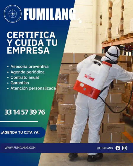 Fumilang — pieza de campaña