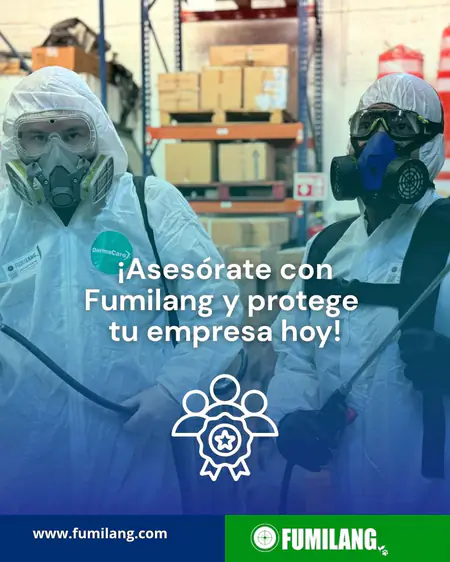 Fumilang — asesórate
