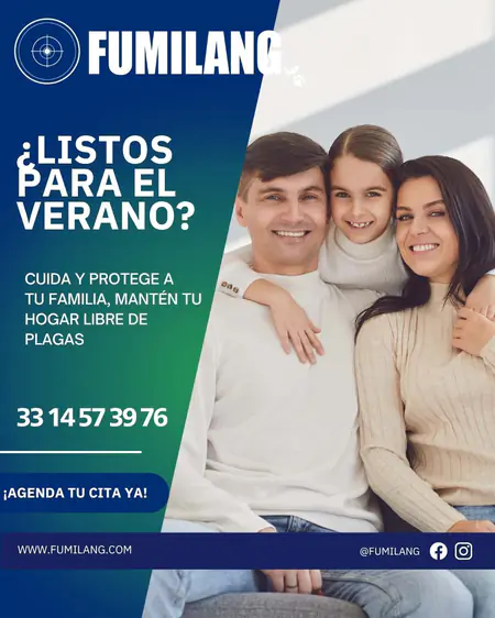 Fumilang — pieza de campaña