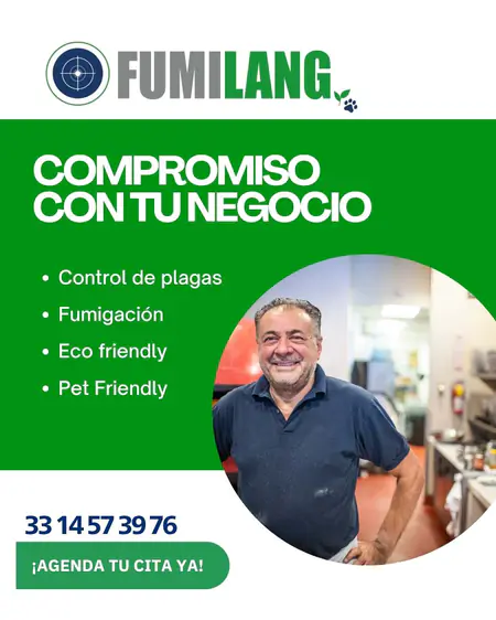 Fumilang — pieza de campaña